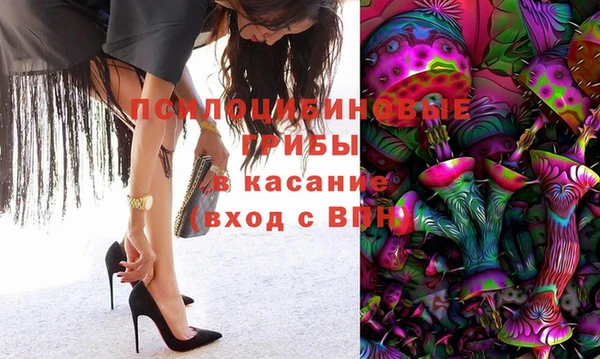 шишки Богданович